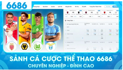 Sảnh cá cược ấn tượng trên 6686vn.live - Đam mê bất tận